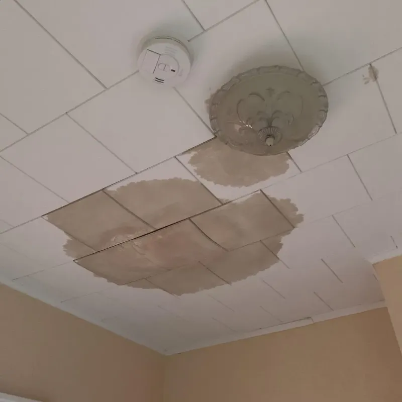 Ceiling Water Damage Repair in Rittman, OH